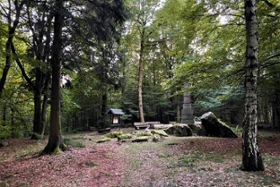 Foto: Das Waldgebiet Gerstenberg bei Rugiswalde an der sächsisch-tschechischen Grenze ist ein Teil der Planungskulisse für das angestrebte Walderlebnisgebiet.