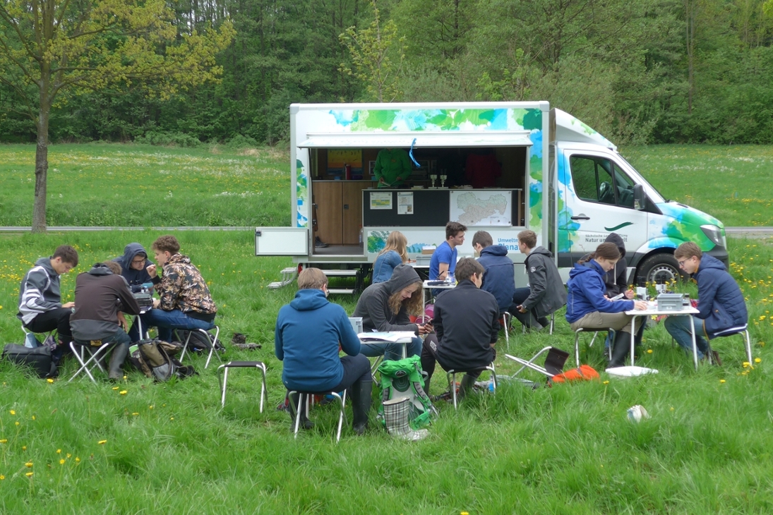 Schüler führen auf einer Wiese Untersuchungen während des Einsatzes des Umweltmobils durch.