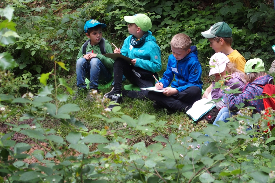 Eine Gruppe von Jungen Naturwächterinnen und jungen Naturwächtern sitzen am Bach und beobachten die Umgebung.