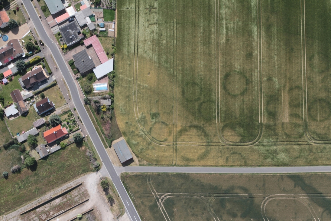 Ringförmige Strukturen auf einem Feld. Sie sind aus der Luft gut erkennbar.