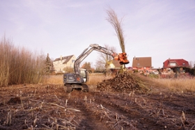 Foto: Biotoppflege Kulkwitzer Lachen