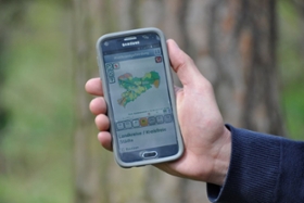 Foto: Mit der Waldbrand-App „Waldbrandgefahr Sachsen“ erhalten Sie alle Informationen zur aktuellen Waldbrandgefahr und dem richtigen Verhalten im Wald schnell, unkompliziert und kostenlos