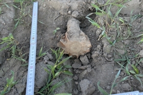 Foto: Mörsergranate Neißeaue