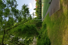 Foto: Biodiversität auf Sportplätzen