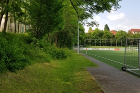 Foto: Biodiversität auf Sportplätzen