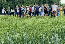 Foto: Symbolbild Feldtage