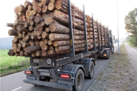 Foto: Bild des Transporters zur Meldung "Überladener Holztransporter"