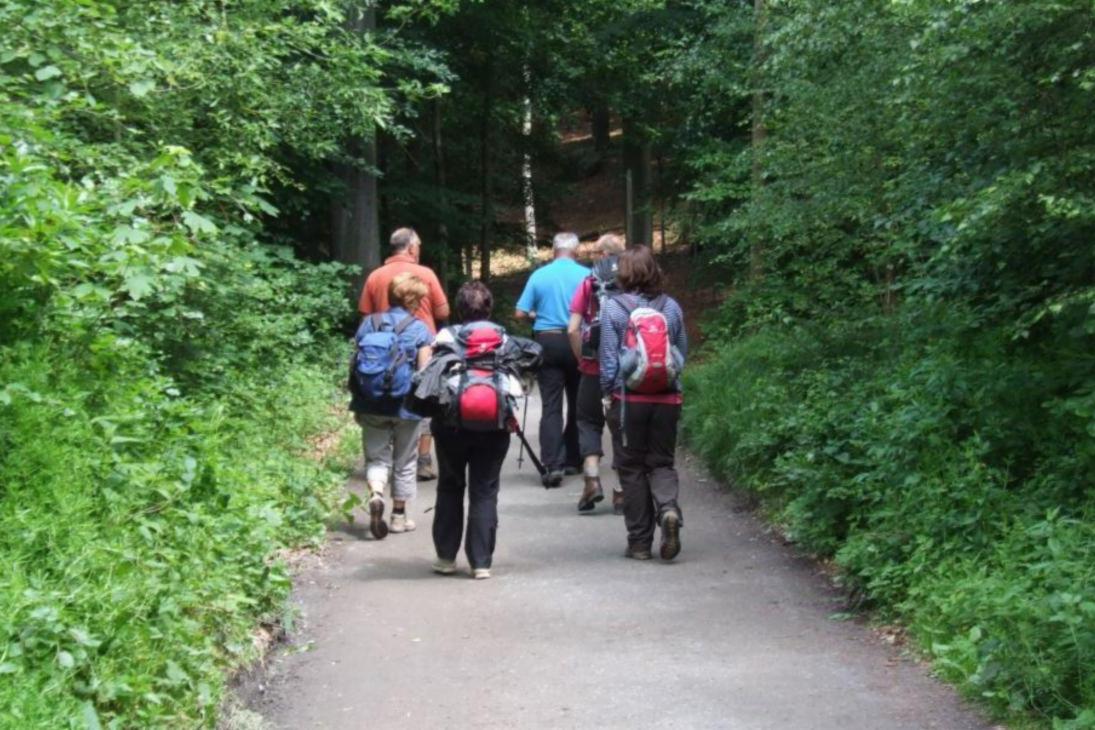 Wandergruppe auf Waldweg