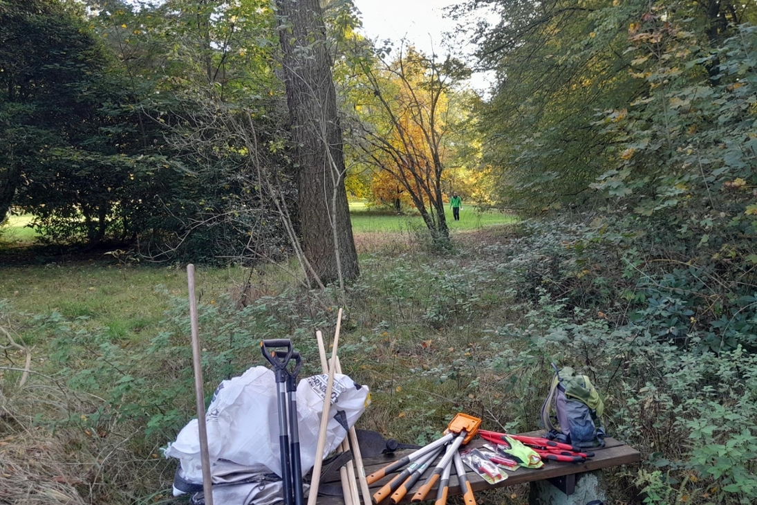 Parkseminar Wechselburg Stillleben