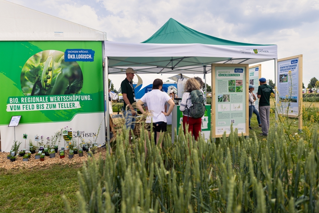 Ökofeldtage auf dem Wassergut in Canitz im Juni 2025