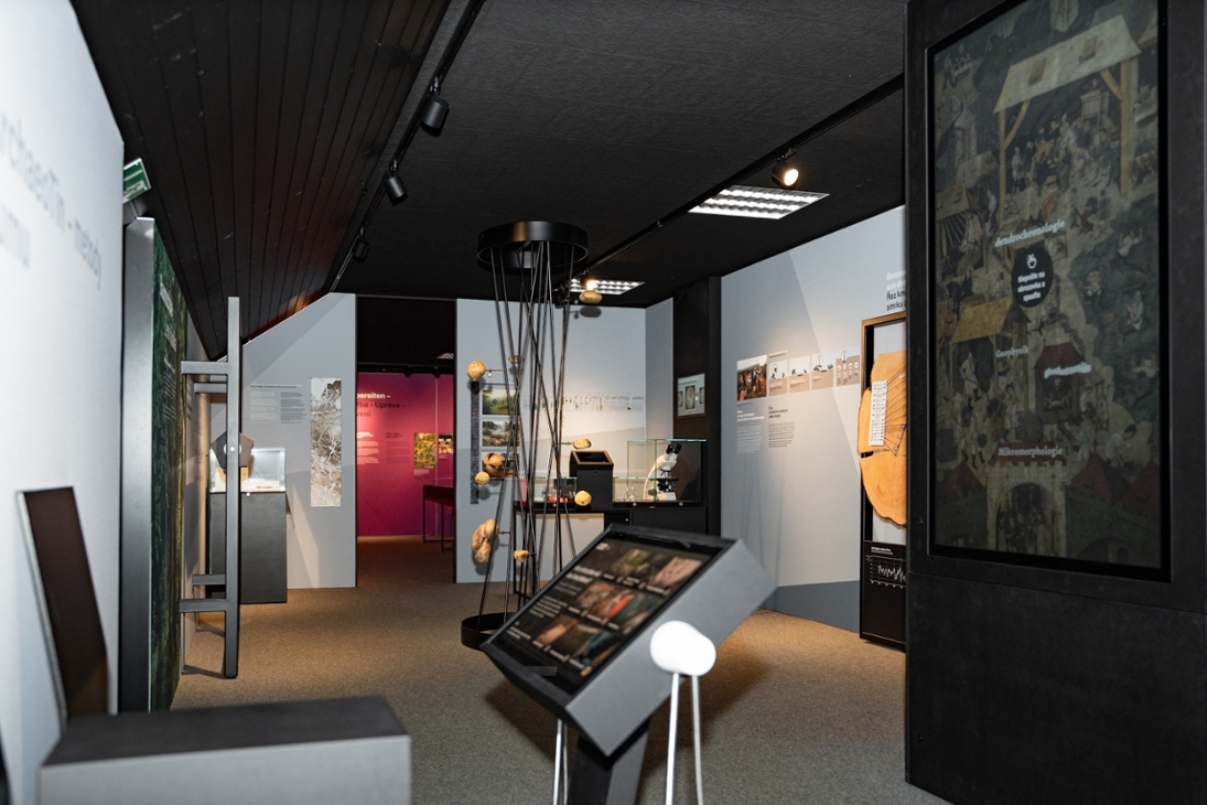 Blick in die Ausstellung