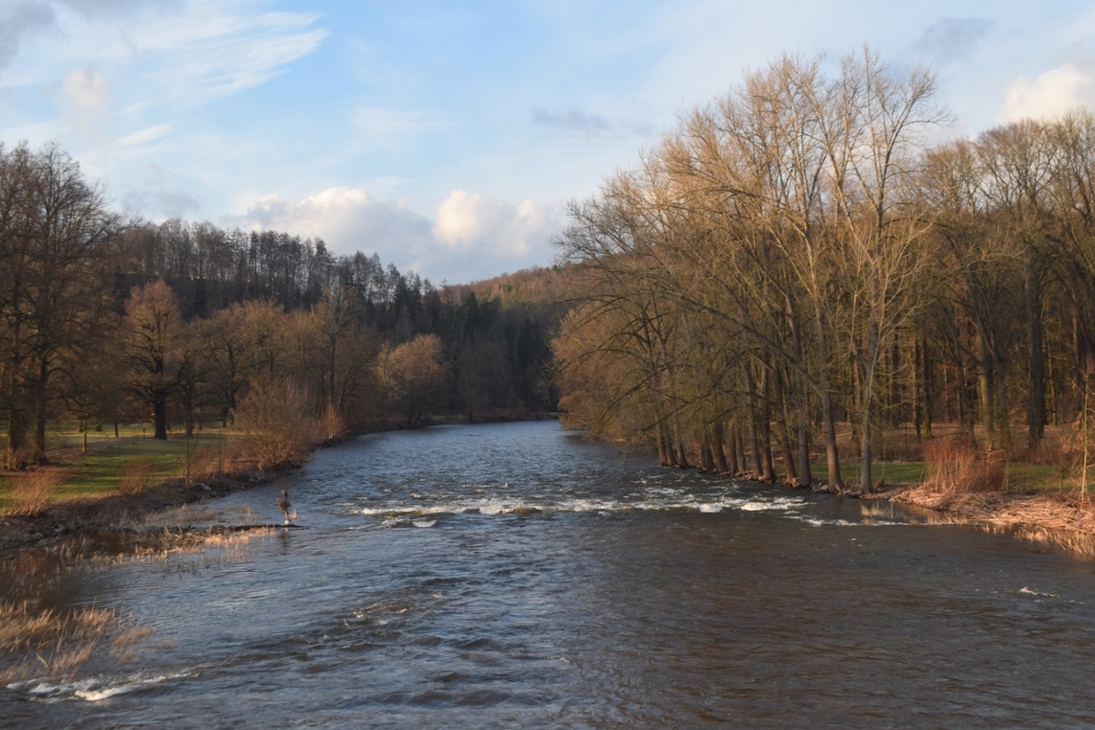 Die Zwickauer Mulde im Herbst bei Wechselburg (Mittelsachsen)