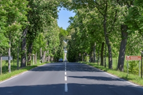 Foto: Blick auf Schloss Moritzburg durch die Schlossallee mit blühenden Rosskastanien, Teil der Deutschen Alleenstraße 2025