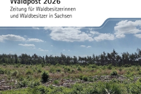 Foto: Titelseite Waldpost 2026