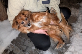 Vorschaubild für die Medieninformation