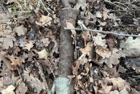 Foto: Mörsergranate