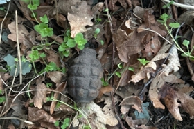 Foto: Übungshandgranate Kittlitz