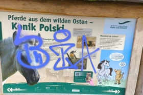 Vorschaubild für die Medieninformation