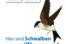 Vorschaubild für die Medieninformation