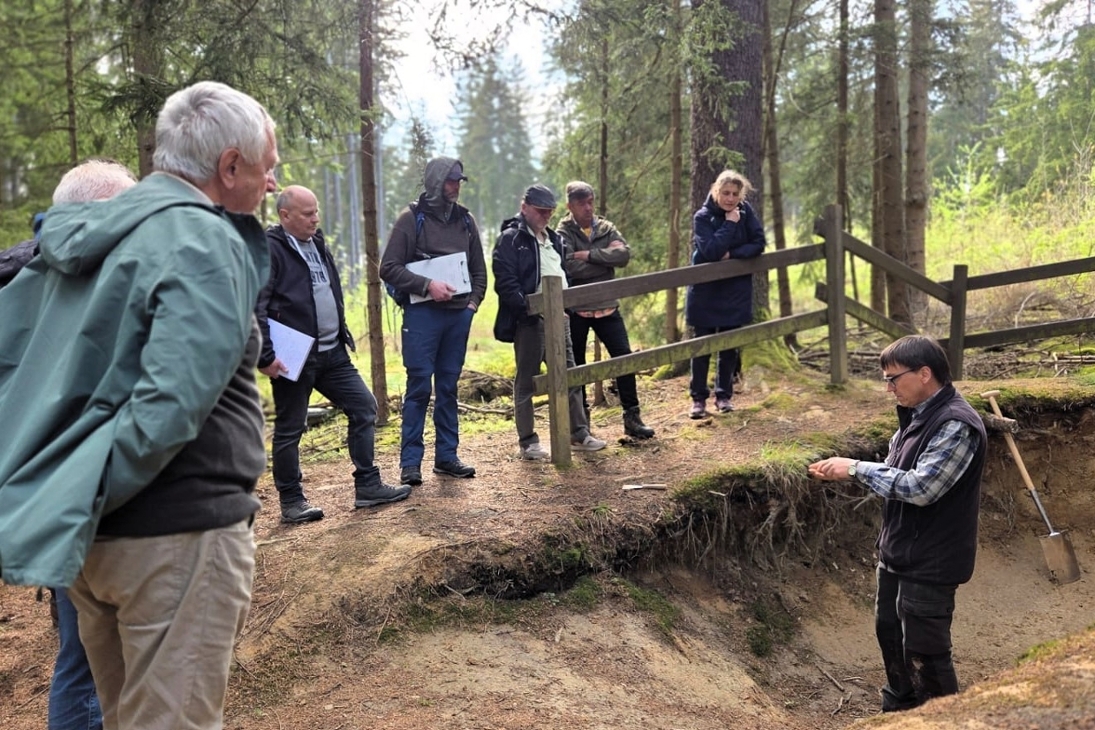 Exkursion zum Bodenlehrpfad im Geopark Porphyrland