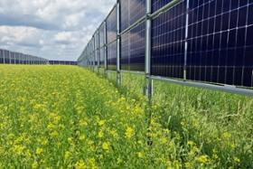 Foto: Senkrecht stehende Solarmodule für mehr Biodiversität auf dem Acker