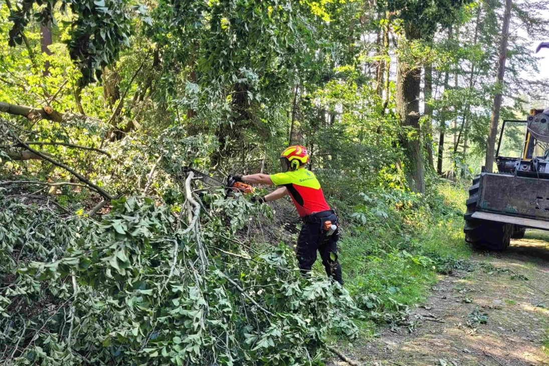 Mit Unterstützung der Maschinenstation Königstein von Sachsenforst schneidet die Nationalpark- und Forstverwaltung die Rettungs- und Arbeitswege frei, die in die Schadgebiete führen. Hintergrund ist, dass die Forstmaschinen, die für die Schadensbeseitigung benötigt werden, nicht durch die engen Gassen Rathens fahren können. Gleiches 
gilt für Holztransporter, die das beseitigte Holz aus dem Wald heraus transportieren müssen.