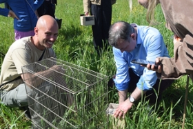 Foto: Der Stiftungsdirektor der Sächsischen Landesstiftung Natur und Umwelt mit einem Zoomitarbeiter bei der Auswilderung von Feldhamstern in Nordsachsen
