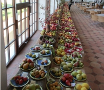 Foto: Sortenschau Streuobst in der Orangerie Bad Muskau