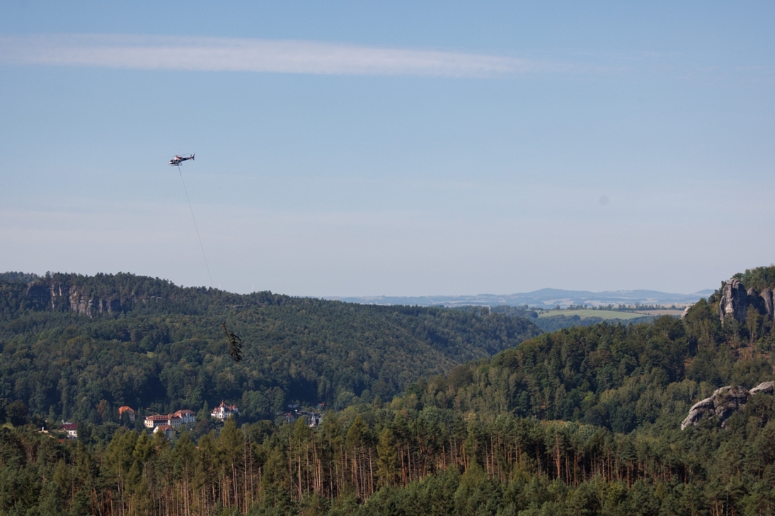 Hubschrauber fliegt Holz aus dem Schadgebiet aus
