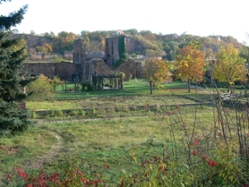 Foto: Meißen, Kloster Heilig Kreuz, Blick auf das Klosterareal mit umliegendem Klostergarten, 2021