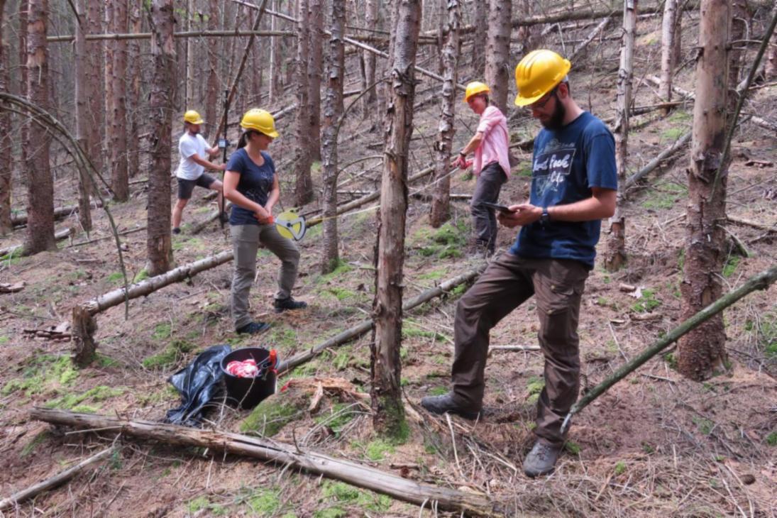 Dr. Jana Chmieleski (2. v. r.) und ihr Forscherteam starteten bereits im Sommer mit der Erprobung verschiedene Verfahren zur Aufnahme von Bodenvegetation, Verjüngung und Totholz im Nationalpark Sächsische Schweiz.